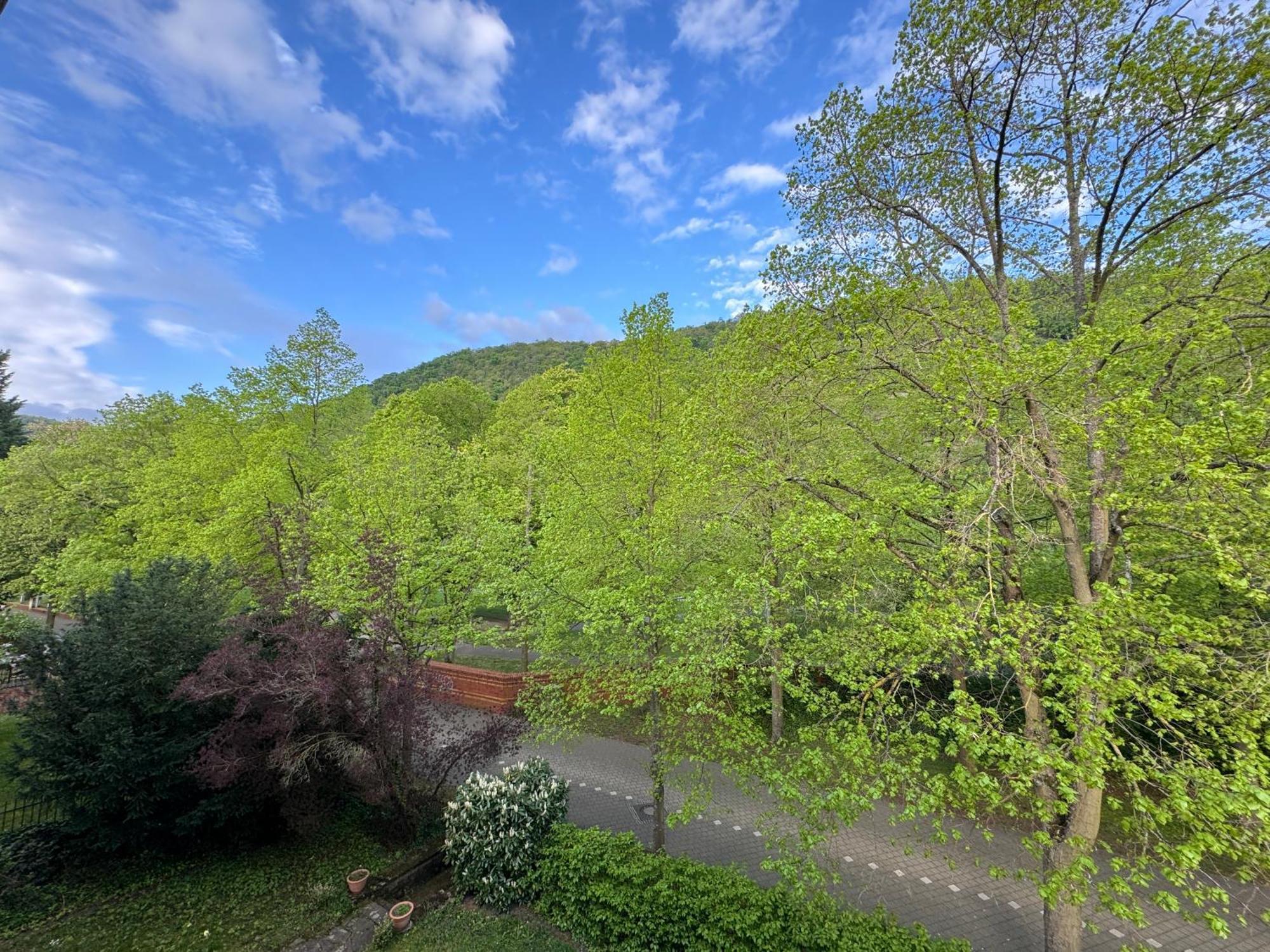 Apartment Villa Elisa Bad Kreuznach Extérieur photo